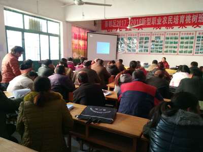 馬莊鑫農果友黨支部服務果農 培訓技術做優產業